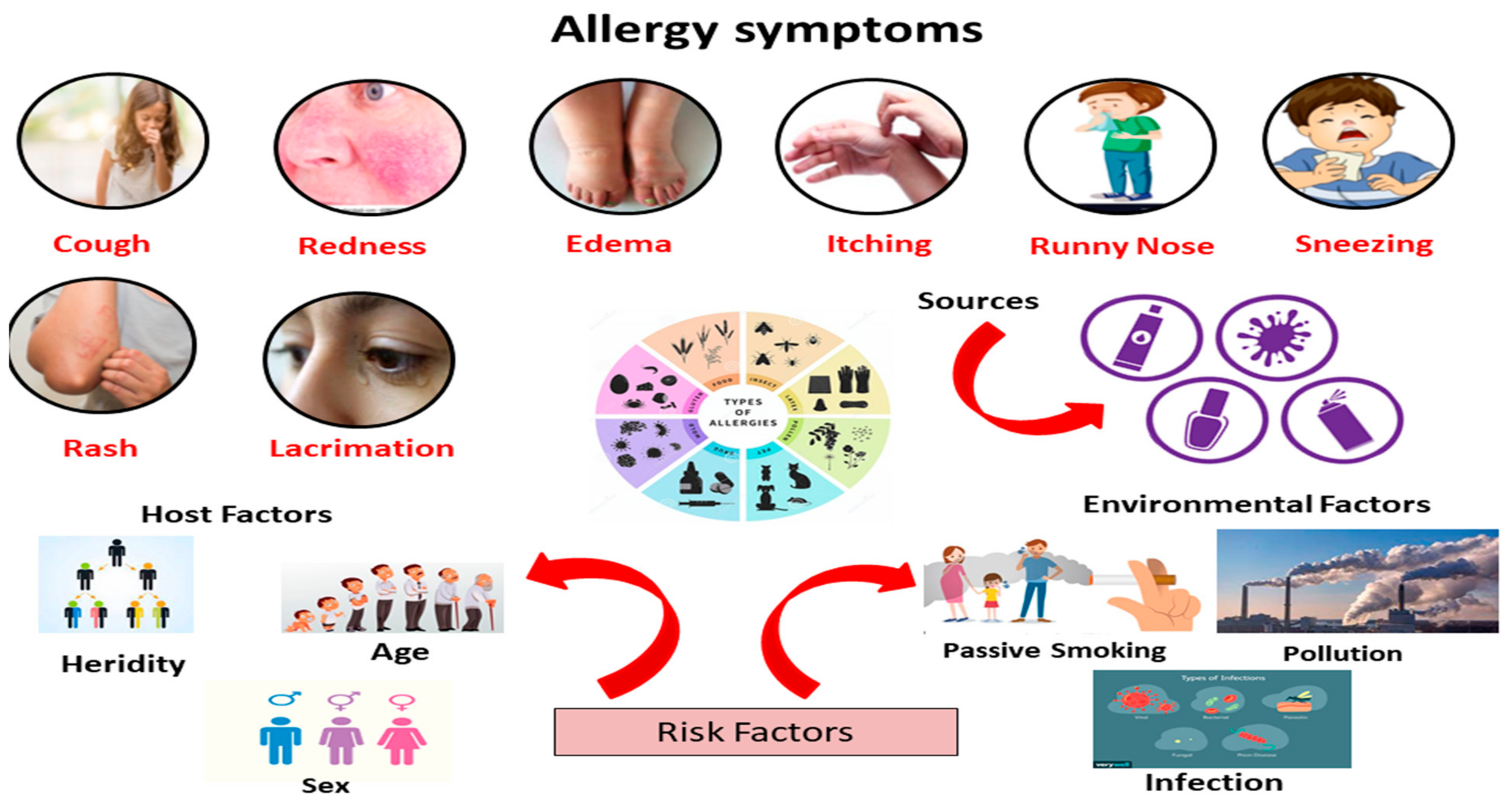 Allergens and Health Considerations