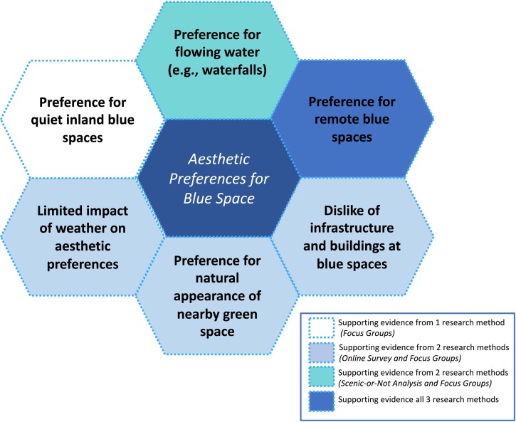 Appearance and Aesthetic Preferences